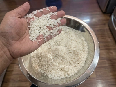 Rice Exporters in India